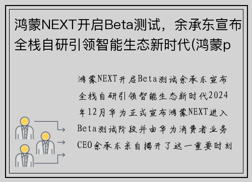 鸿蒙NEXT开启Beta测试，余承东宣布全栈自研引领智能生态新时代(鸿蒙patch03)