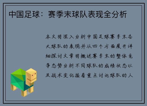 中国足球：赛季末球队表现全分析